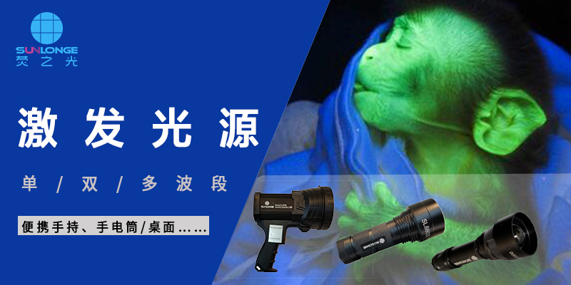 為什么有的物質(zhì)激發(fā)后能發(fā)出熒光，有的不能？